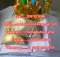 Nembutal online/Pentobarbital sodium/etomidate