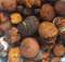 Buy cow /Ox Gallstone Available On Stock Now  - Rrrrrrrrrrr