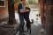 Pluto - zakochany w cz�owieku LABRADOR mix